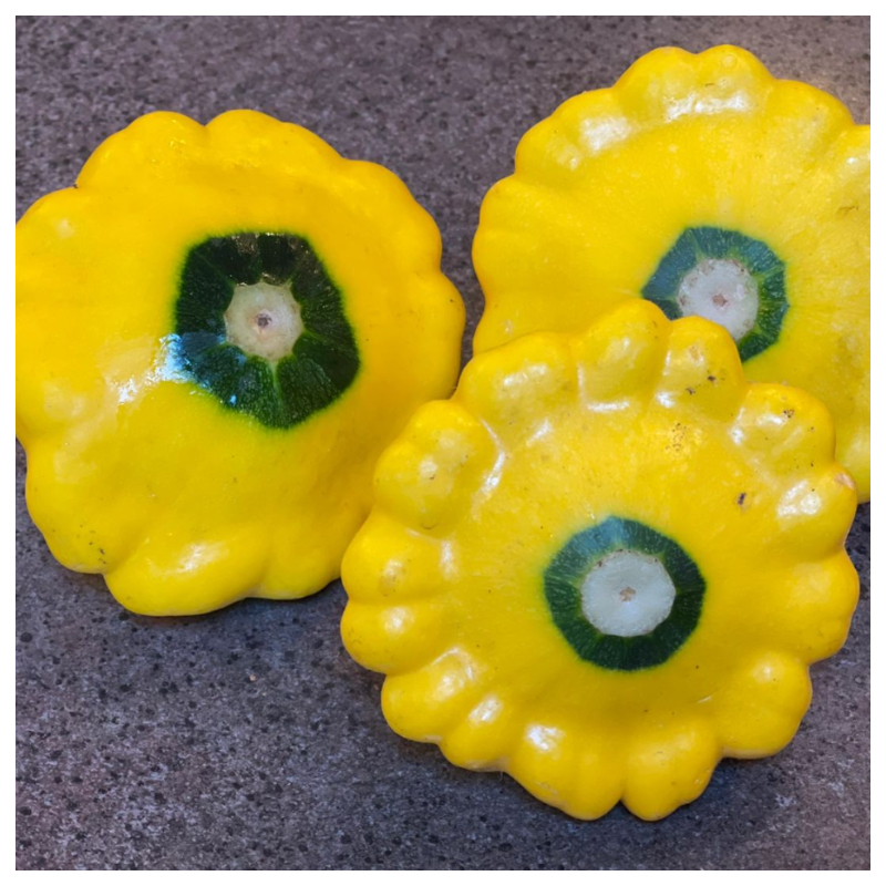 🥰Flying saucer melon🌱🌸