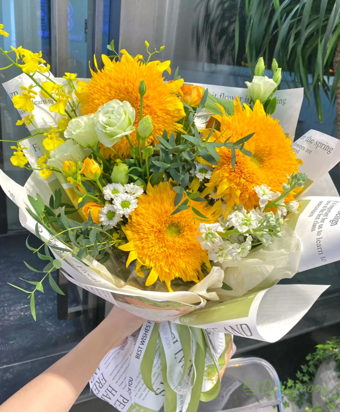 Teddy Bear Sunflower Seeds🌻🧸