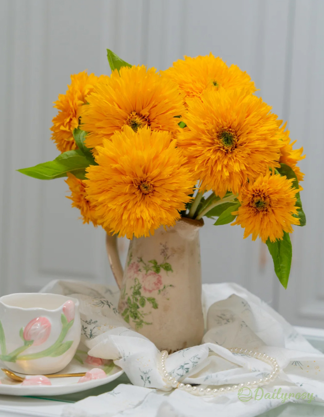 Teddy Bear Sunflower Seeds🌻🧸