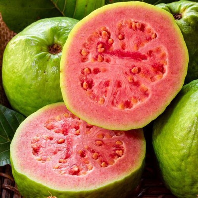 🔥Hot Sale🍏Bonsai Guava Seeds