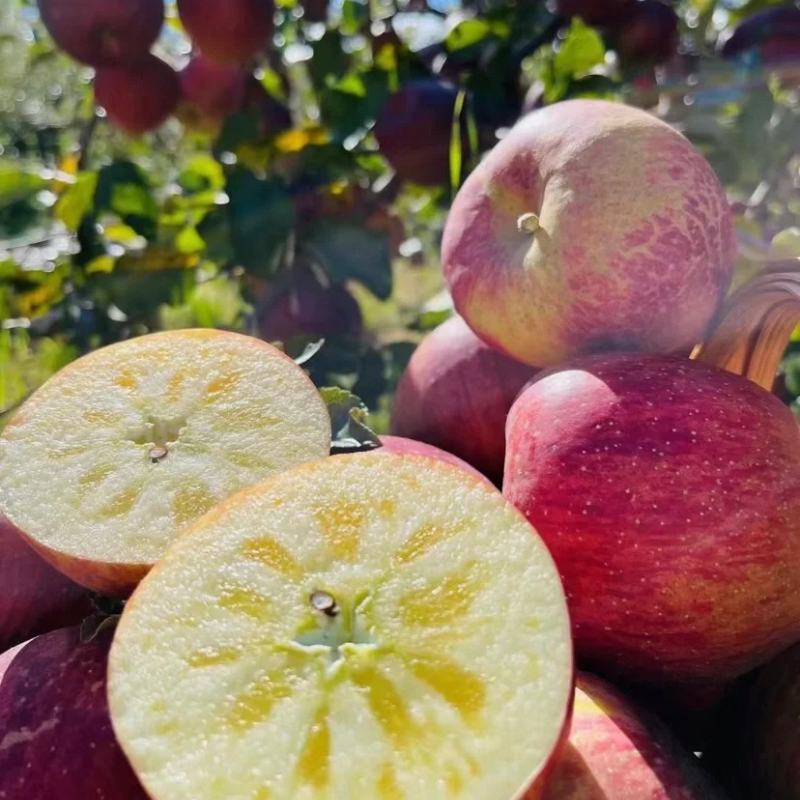 🍎Apple Seeds -Organic, nutritious and delicious