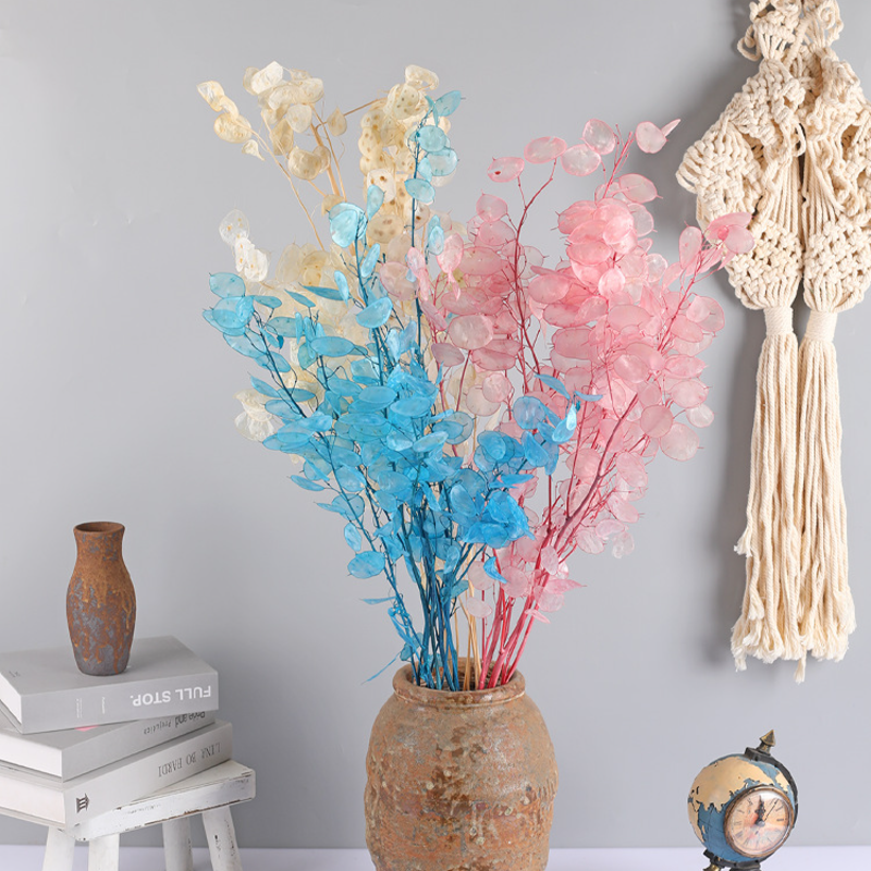 🌟Silver fan leaf seeds🌱- A Unique and Elegant Addition to Your Garden 🌿✨