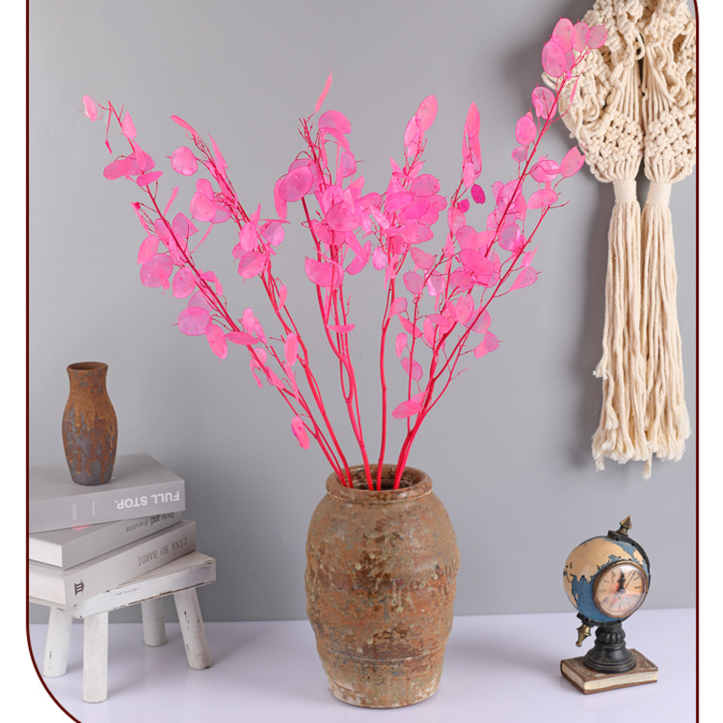 🌟Silver fan leaf seeds🌱- A Unique and Elegant Addition to Your Garden 🌿✨