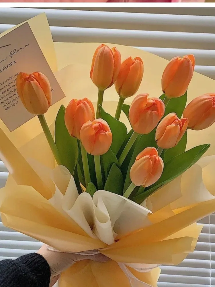 Mixed Tulip Seeds-Over 6 kinds mixed