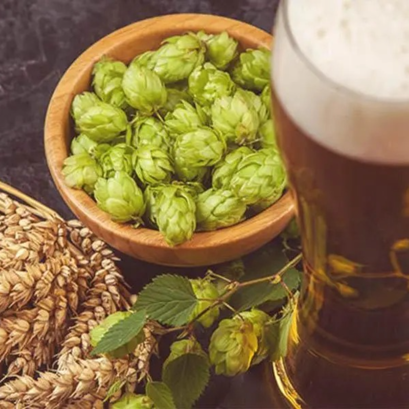 🌿 Grow Your Own Beer Hops! 🍺 Cascade Seeds – Easy, Perennial, Low Work! 👵👴🌼 For Garden Vines & Homemade Brews!