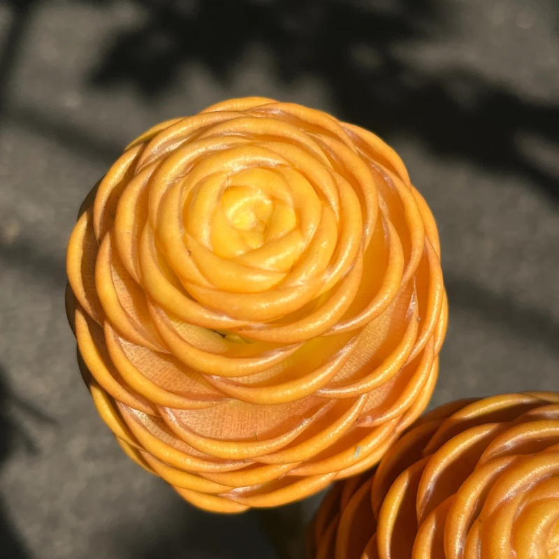🐝 Exotic Beehive Ginger – Sculptural Blooms for Effortless Elegance 🌼