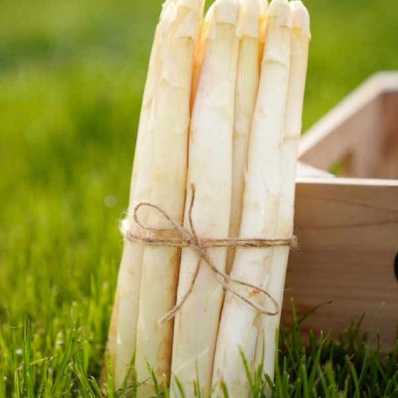 🌱Organic Asparagus Seeds - ❤️Arthritis-Friendly, ✅Easy to cultivate, long-term benefits