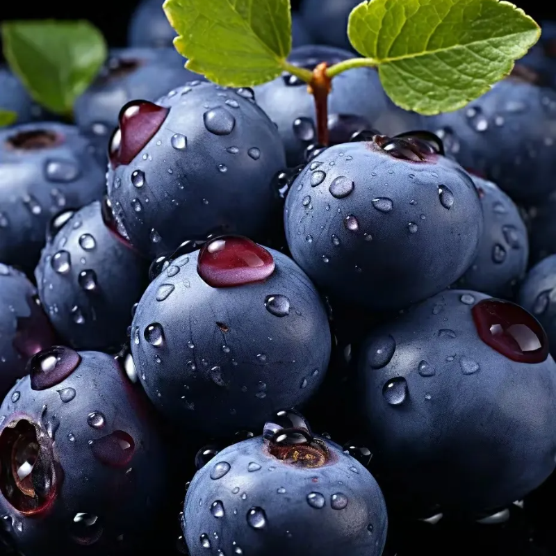 🫐Blueberry Seeds - Easy to grow, delicious and nutritious, cold resistant🌱