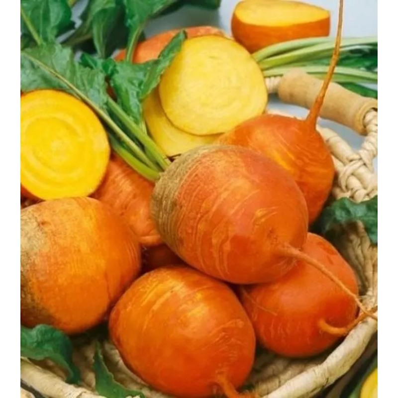 Premium Beetroot Seeds –easy to grow,rich in nutrient and delicious🌱💜