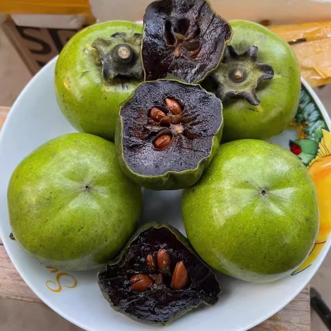 Chocolate Pudding Persimmon Seeds