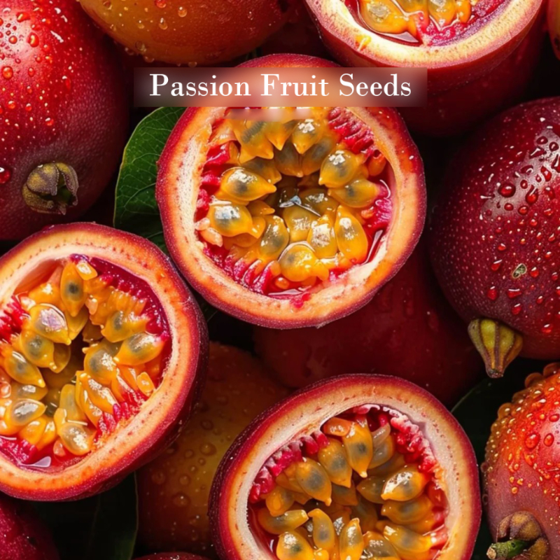 Organic Passion Fruit Seeds 🌿🍹 – Easy to Grow, Nutrient-Rich Tropical Flavor for Health & Home