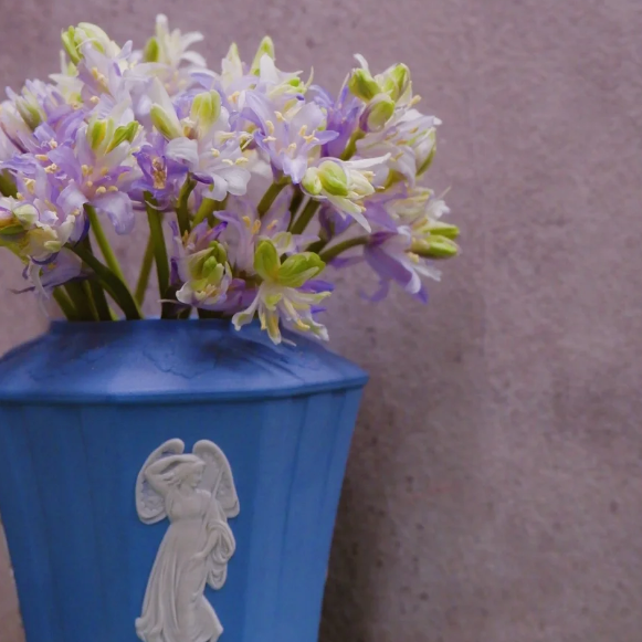 🧚‍♂️🔔Bluebells – The Fairies’ Lucky Bells