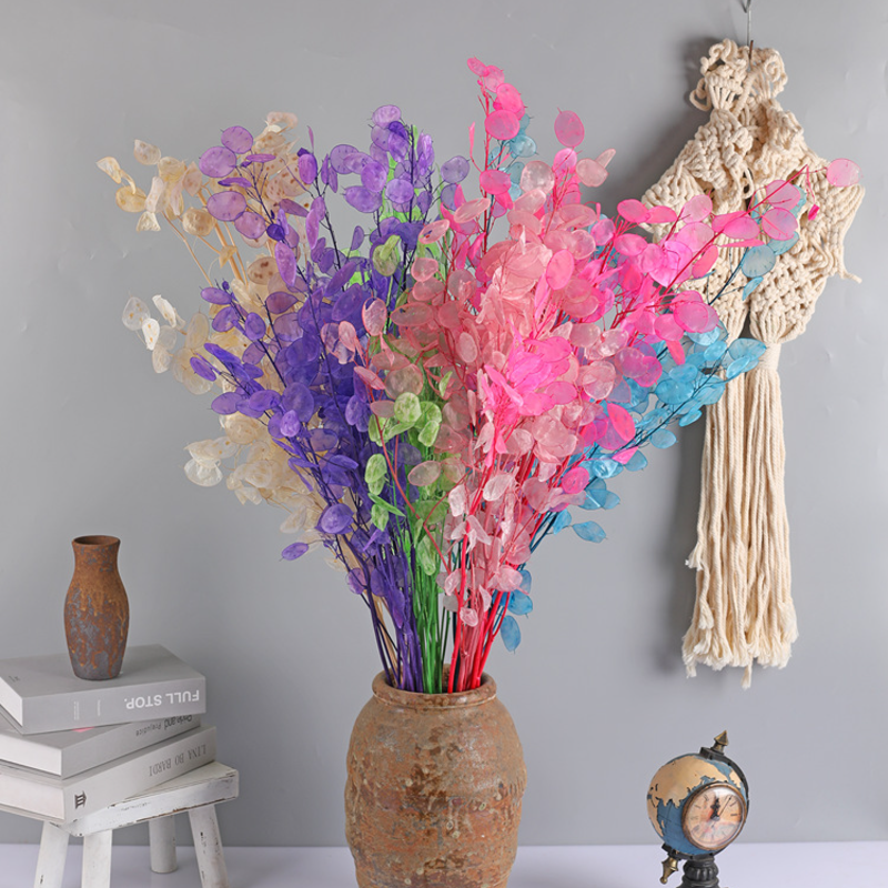 🌟Silver fan leaf seeds🌱- A Unique and Elegant Addition to Your Garden 🌿✨