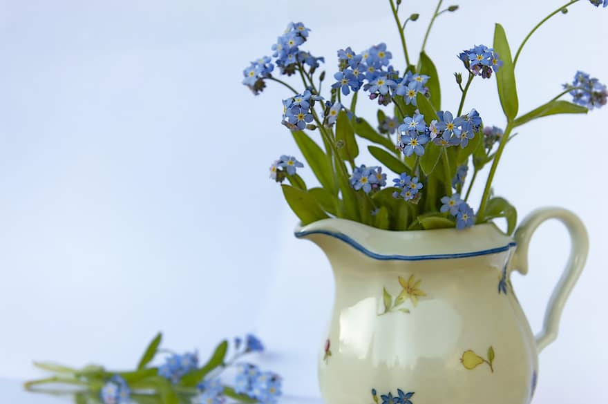 Alpine Forget Me Not Mixed Seeds - Myosotis alpestris - Biennial Flower Seeds - Organic Seeds