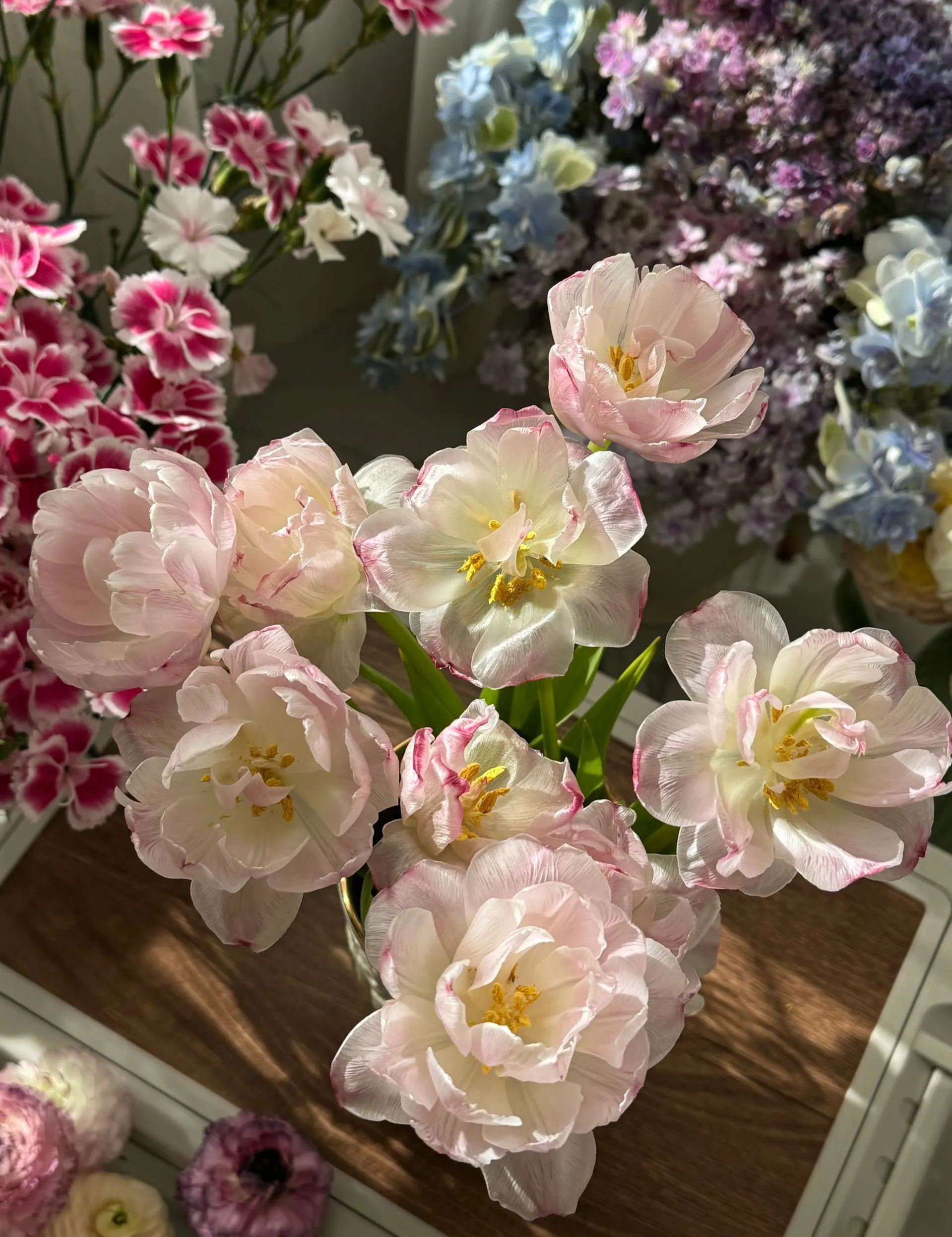 🌷 Strawberry Milkshake Tulip Seeds