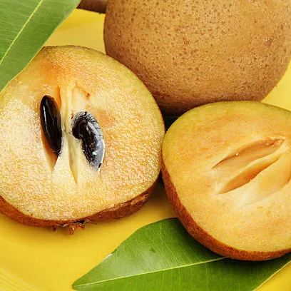 Sapodilla Fruit Seeds