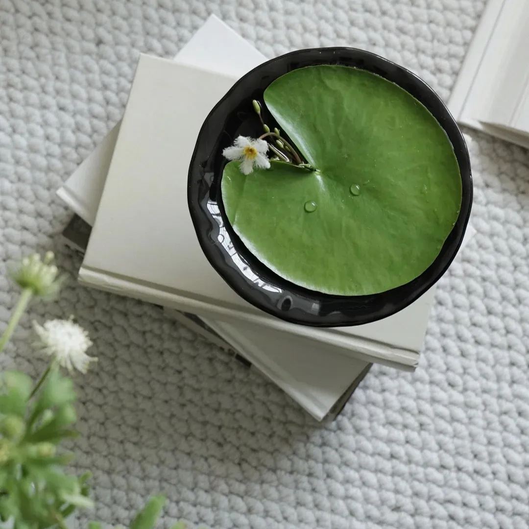 🌸🍃 Discover Nature's Elegance: One Leaf Lotus Seeds for Your Enchanted Garden! 🌟🌿