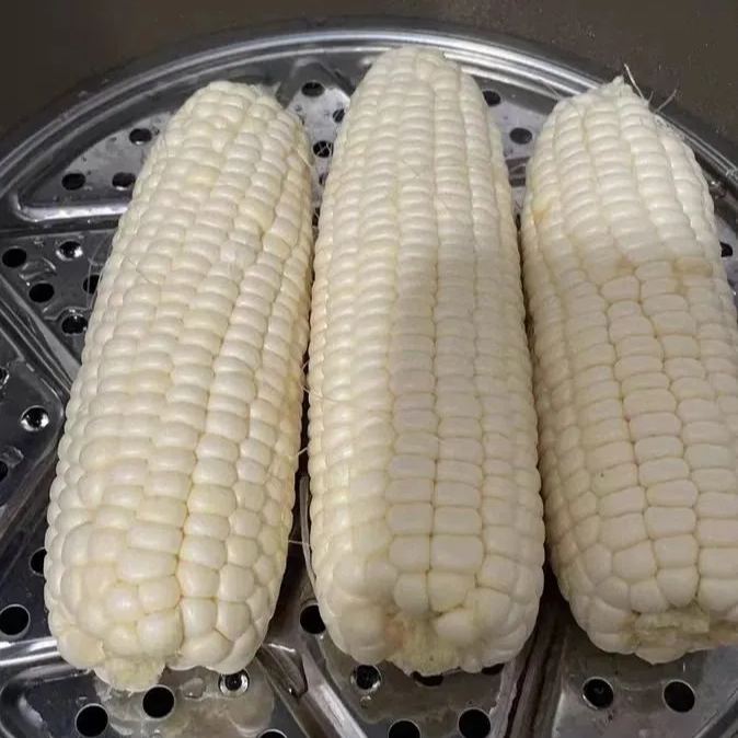 Soft, chewy, and sweet, multi-variety corn