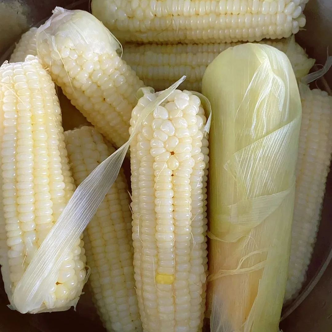 Soft, chewy, and sweet, multi-variety corn