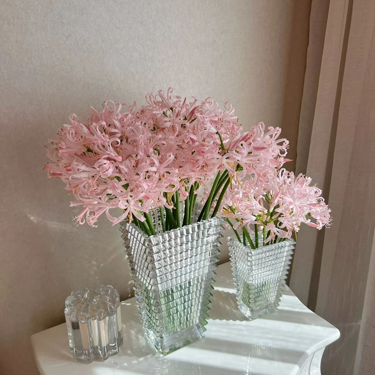 🦋Mysterious and beautiful flowers: ✨Amaryllis belladonna💐