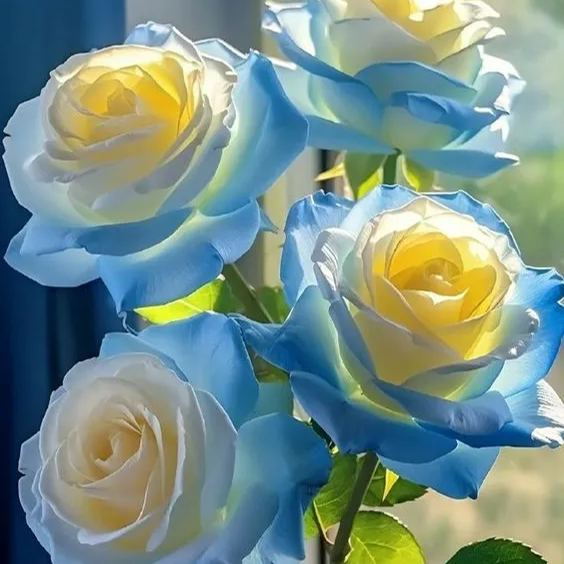 🌈Bunte Rosen: Zwillingsrosen🌹