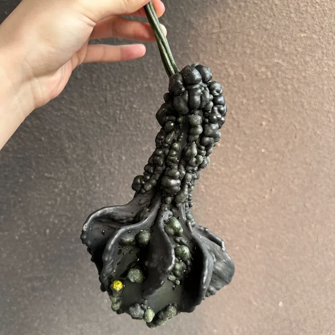 White Swan Pumpkin Seeds🦢🎃