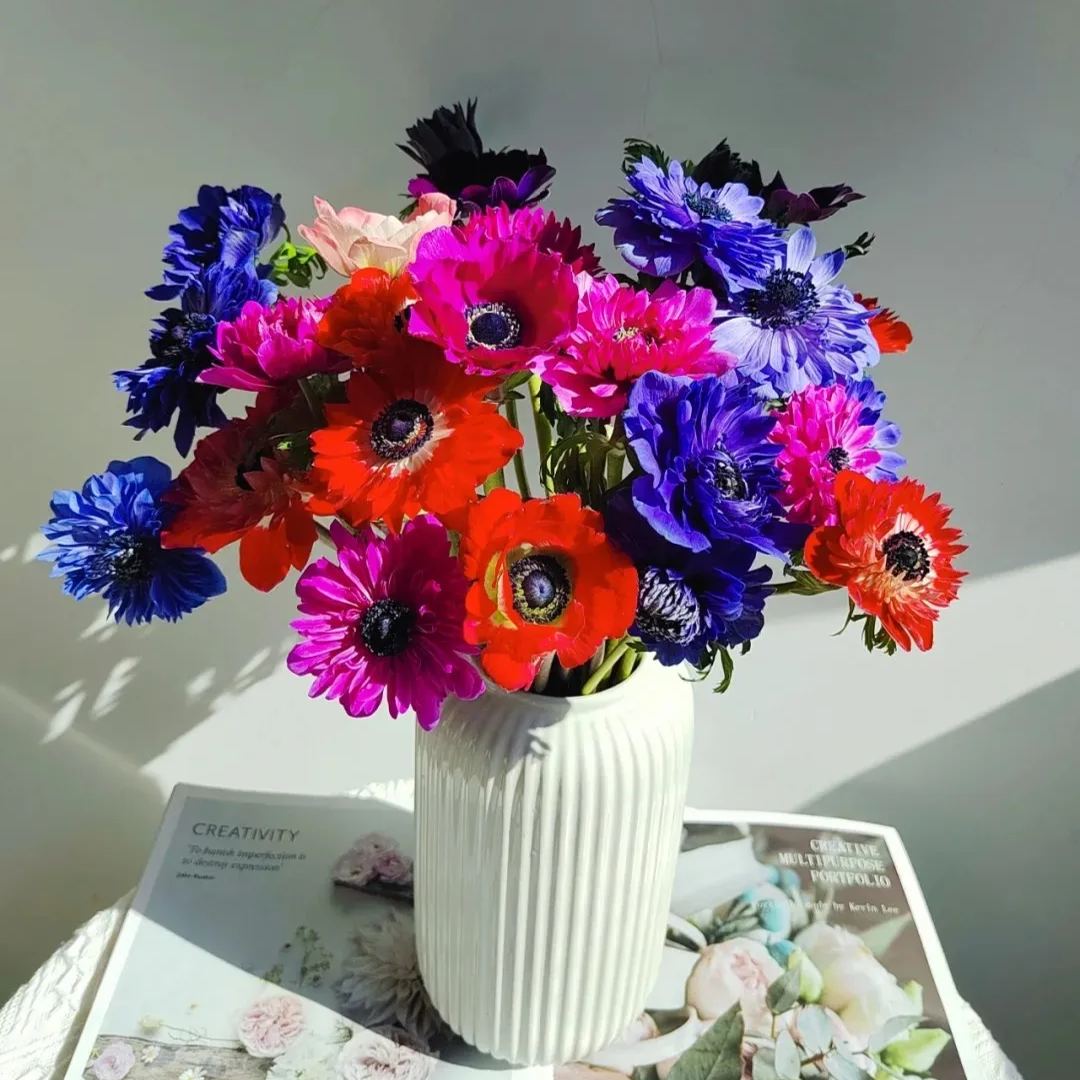 🌸 Double Anemone Seeds — Add Resilient Elegance to Your Garden!