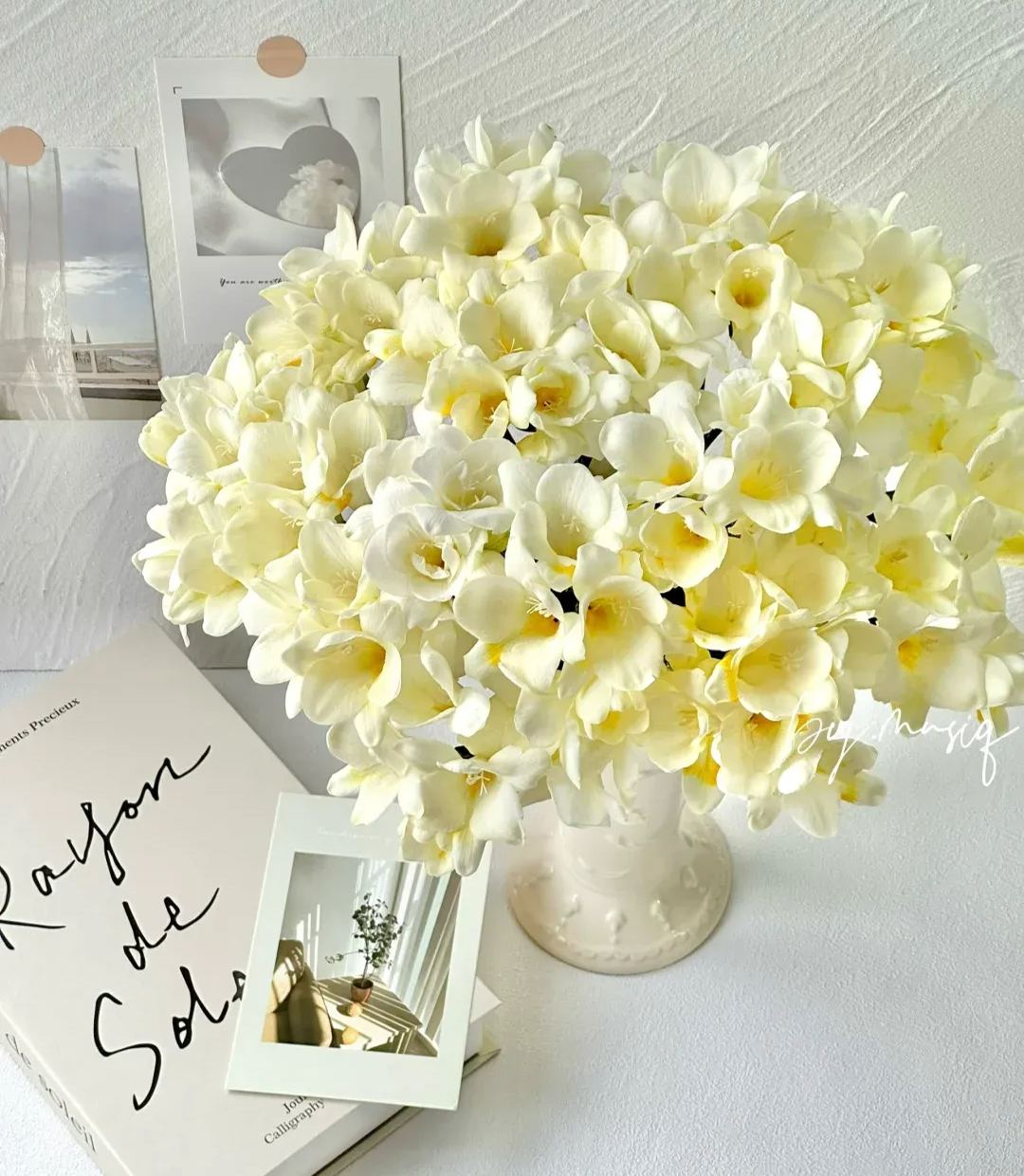 Freesia Bulbs-A Burst of Color & Fragrance! 🌸