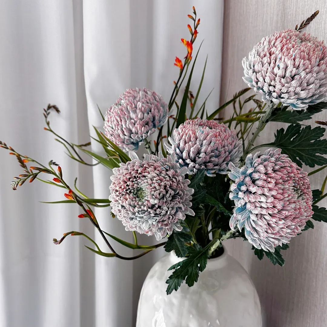 🎋color absorbing peony chrysanthemum 35%OFF🥳