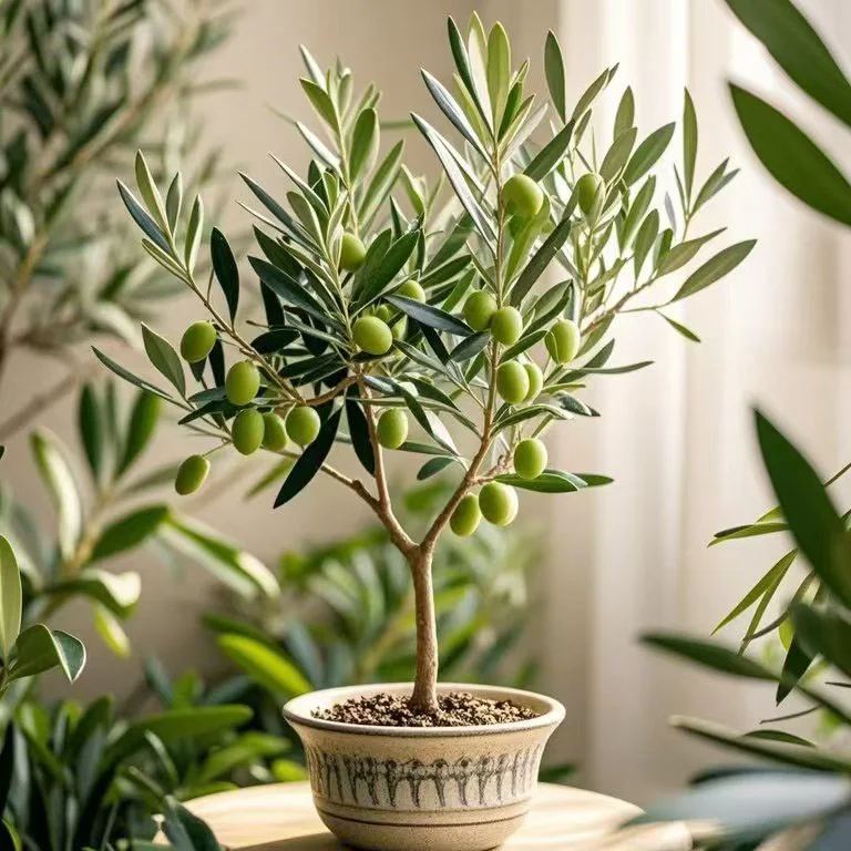 🍌Dwarf Potted Banana Seeds