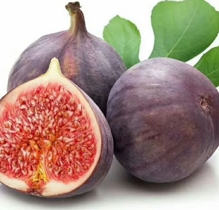 🍑Super Giant Fig Tree Seeds - The Sweetness of a Peach in Every Bite! 🌟