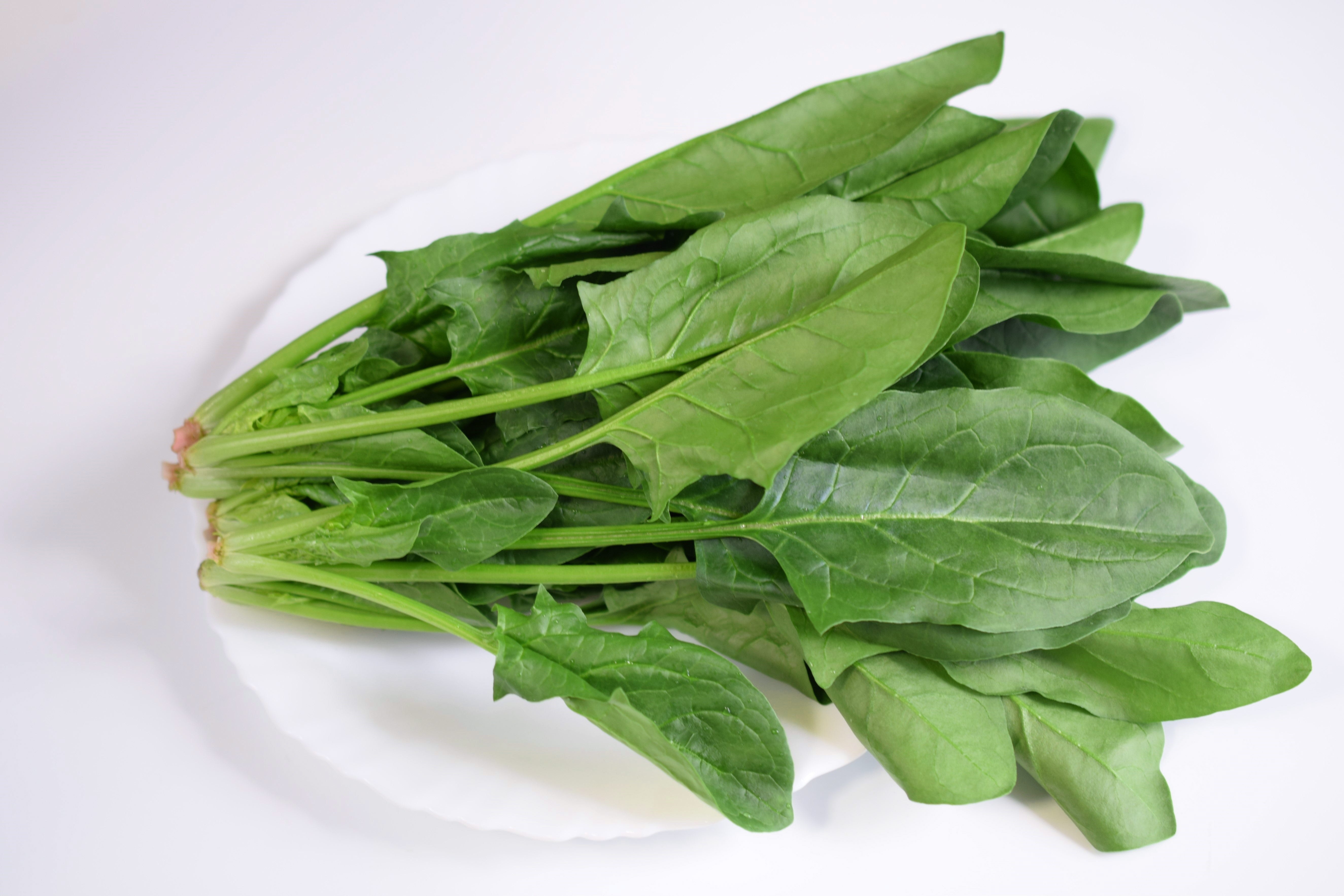 菠菜 Spinach