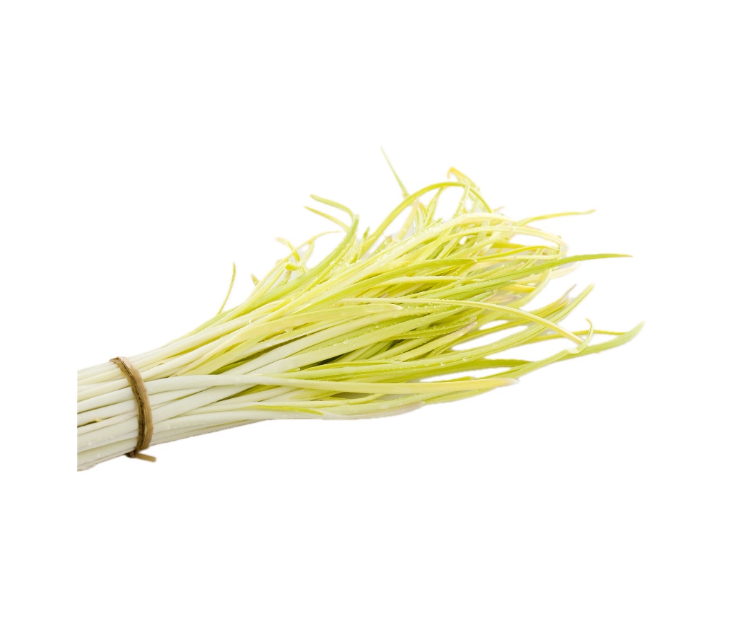 韭黃 Chives Yellow