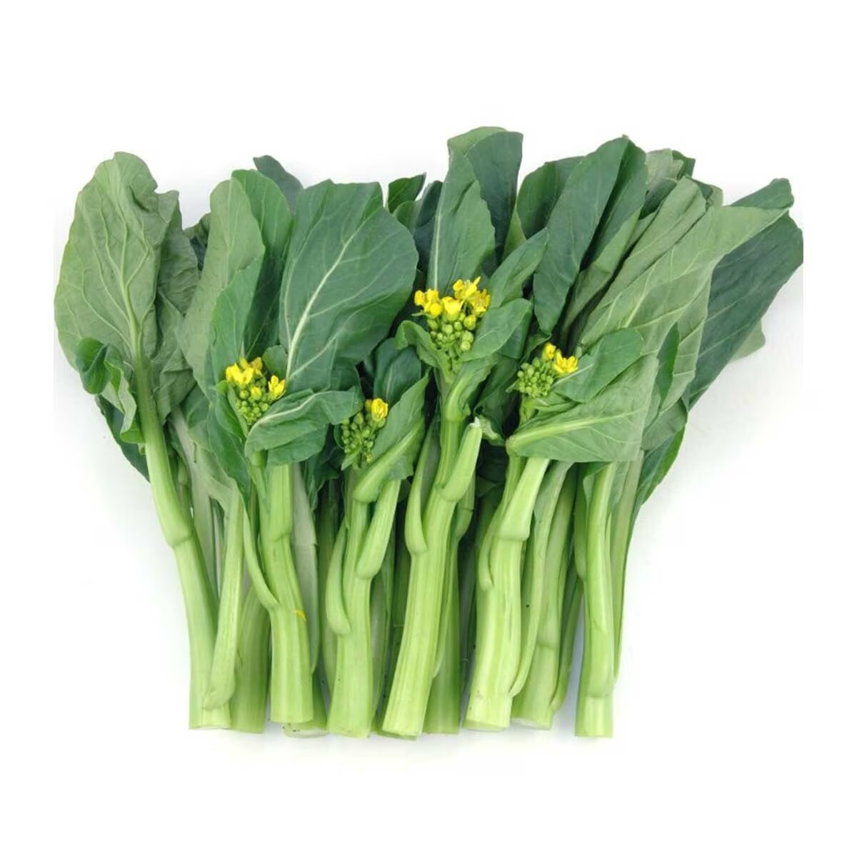 菜心 Choi Sum