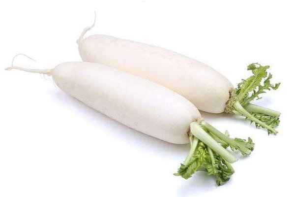 白蘿蔔 (根) Daikon