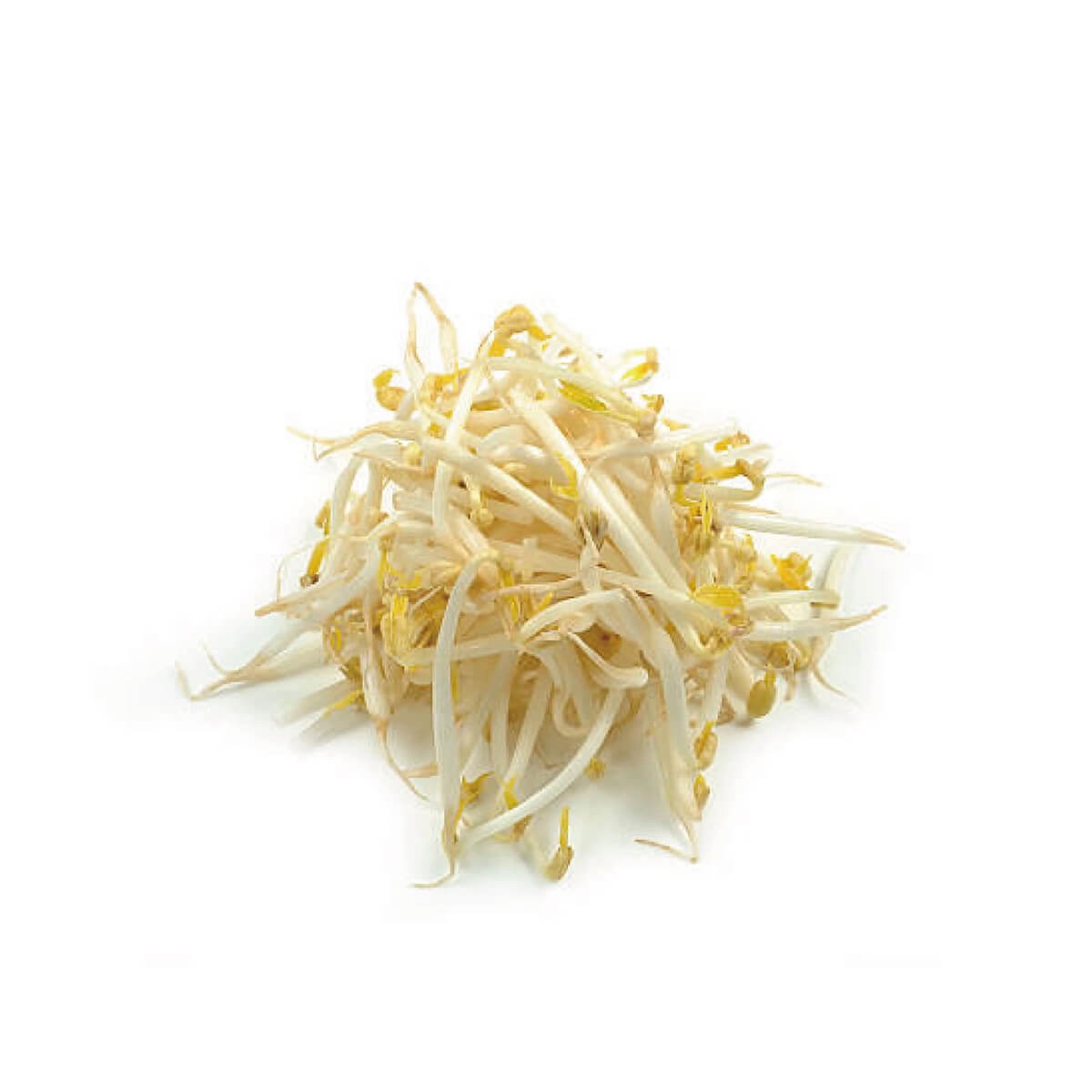 豆芽菜 Beansprouts