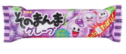 CORIS 葡萄口味口香糖 CORIS Grape Chewing Gum 14g