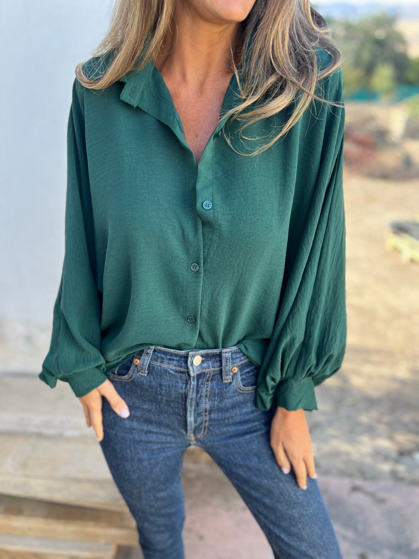 Wide Puffed Sleeves Blouse