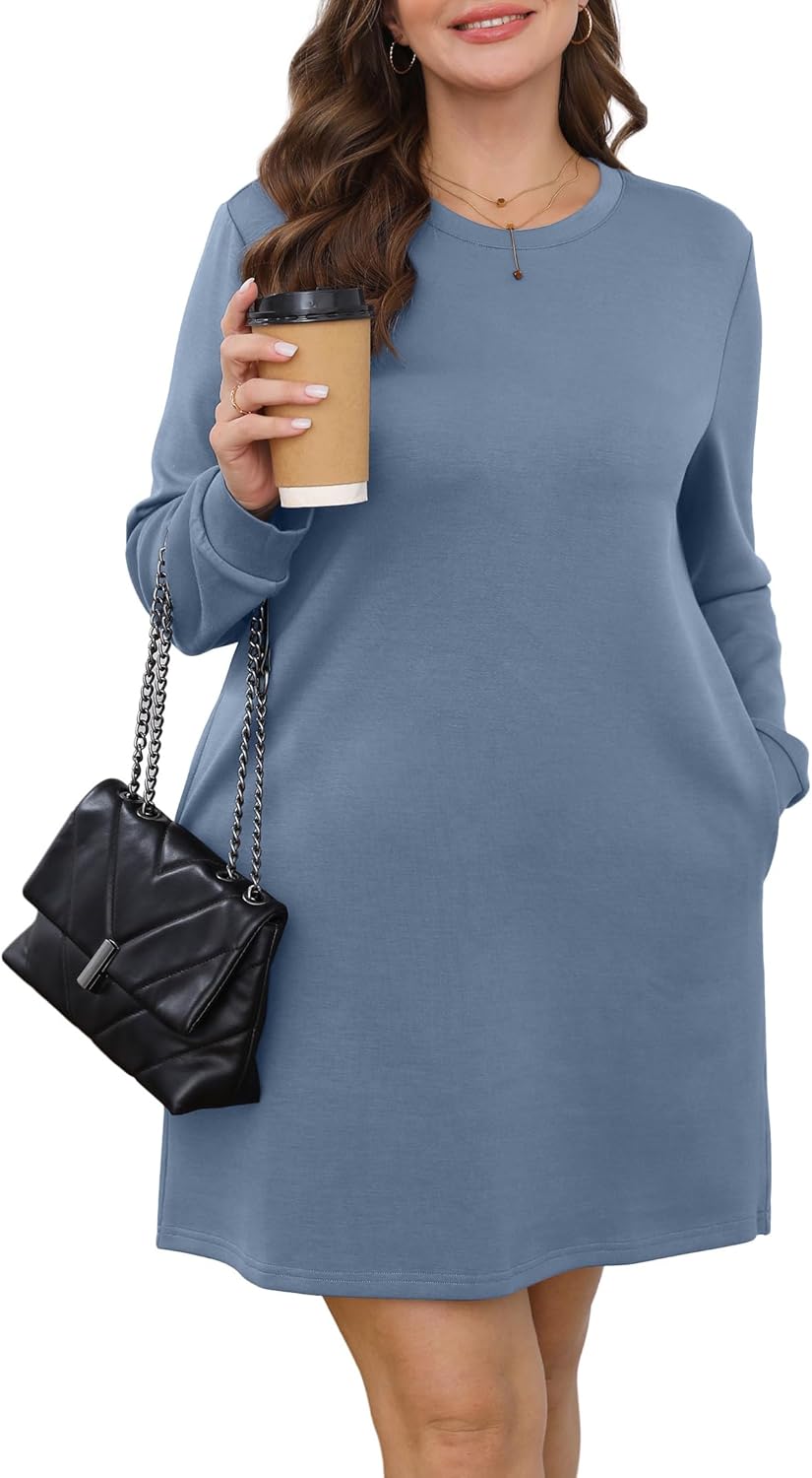 Women's Long Sleeve Casual Loose Fit Fall Fashion Crewneck Mini Dress with Pockets