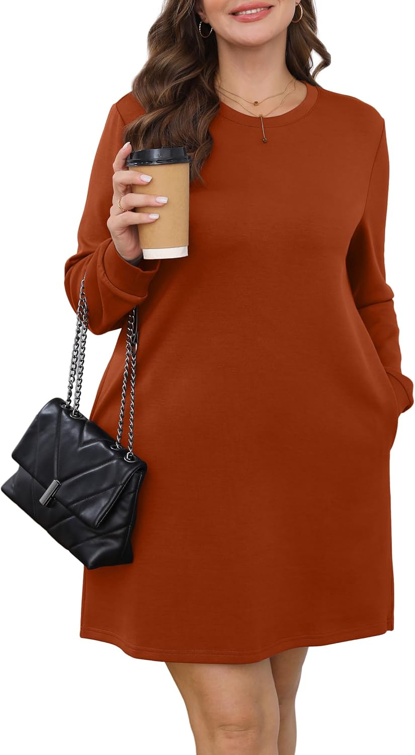 Women's Long Sleeve Casual Loose Fit Fall Fashion Crewneck Mini Dress with Pockets