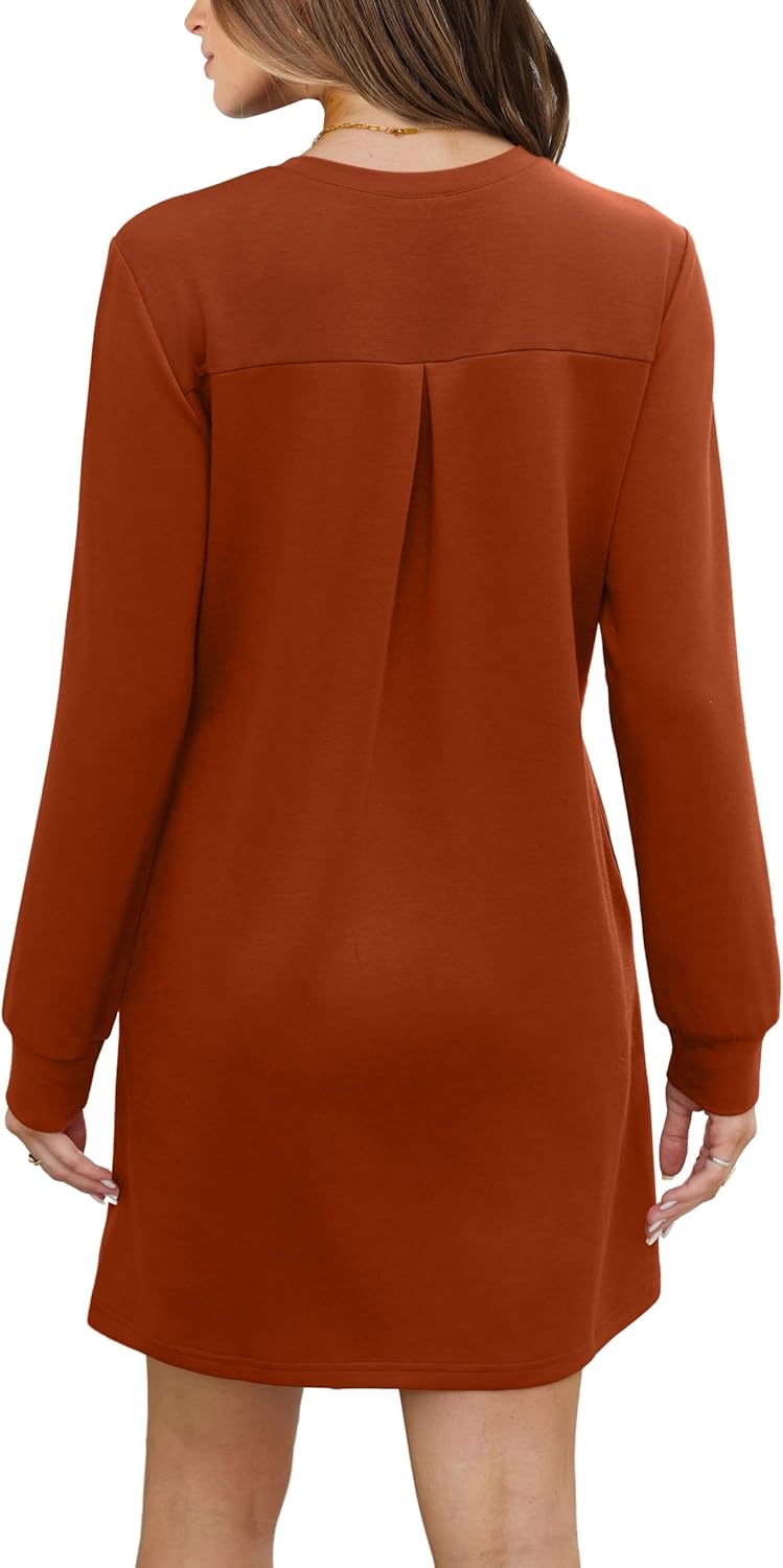 Women's Long Sleeve Casual Loose Fit Fall Fashion Crewneck Mini Dress with Pockets