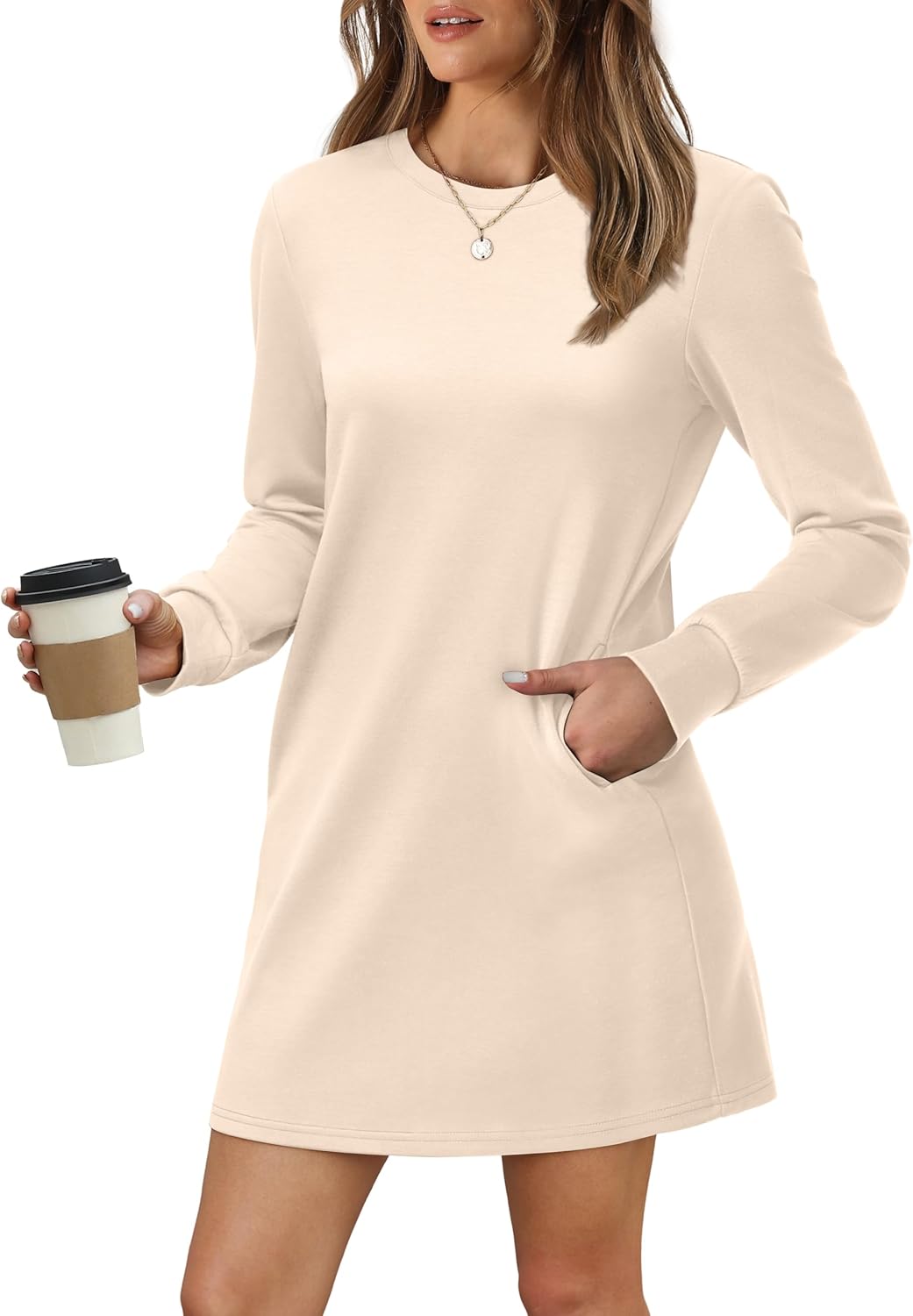 Women's Long Sleeve Casual Loose Fit Fall Fashion Crewneck Mini Dress with Pockets