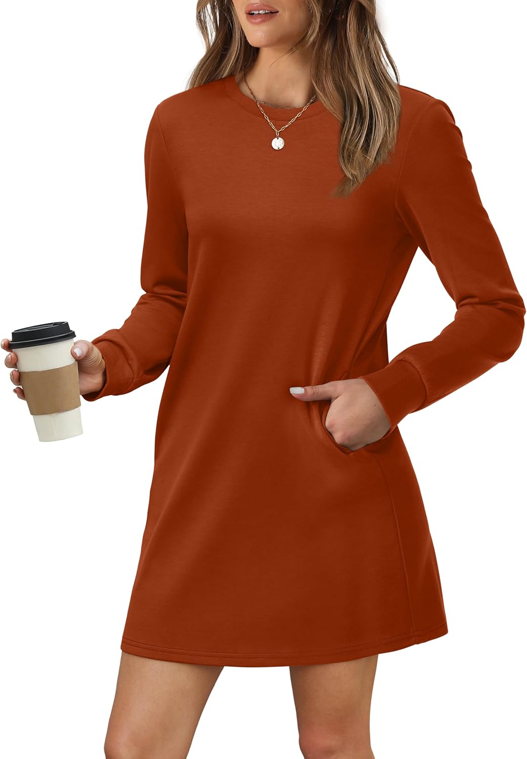 Women's Long Sleeve Casual Loose Fit Fall Fashion Crewneck Mini Dress with Pockets