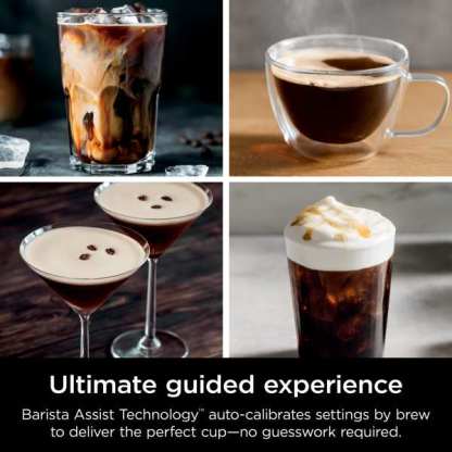 Ninthtja Luxe Cafe Premier Series 3-in-1 Coffee, Espresso & Cold Brew System