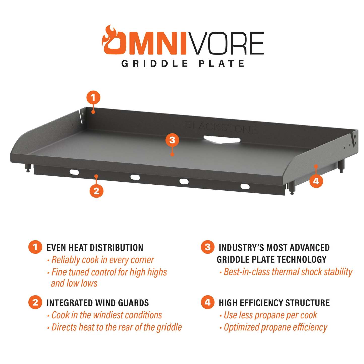 Blackthtstone ProSeries 4-Burner 36" Propane Griddle with Stainless Steel Cabinet and Hood