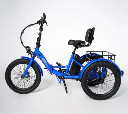 Soon to be sold out!! Last Day For Clearance TK1 Electric Trike with 500W_Motor & 20MPH Speed w/ Accessories