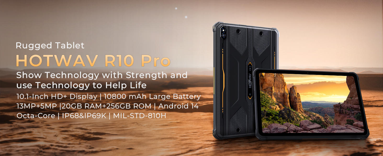 R10 Pro