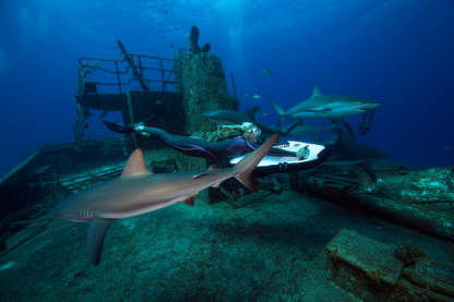 Seathtbob F5 S Luxury Underwater Scooter