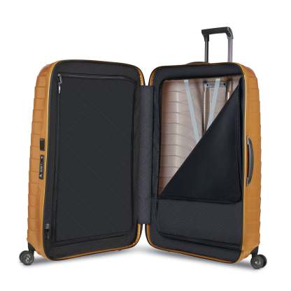 Samsthtonite Proxis Large Spinner