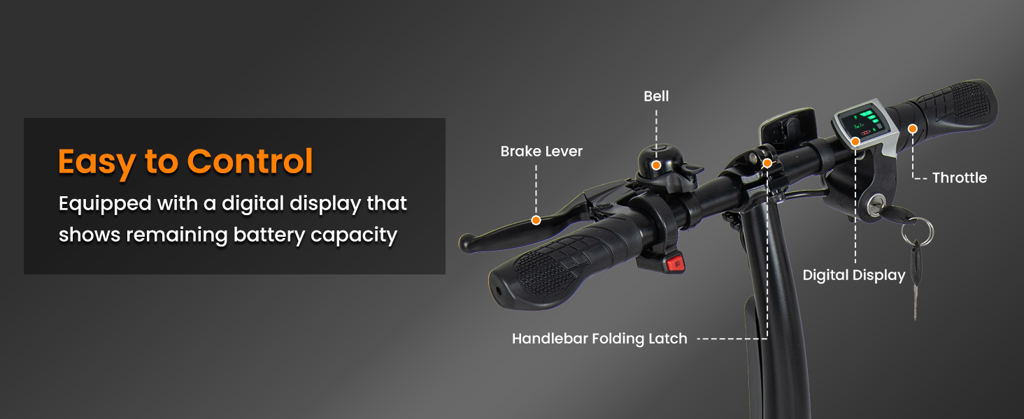 Electric Bike for Adults Folding Electric Bicycle with 350W Motor and 36V Battery
